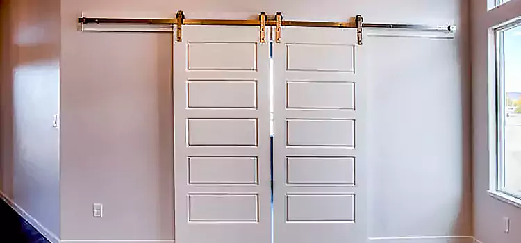 Glass Barn Door with Installation Hardware Kit Central Falls