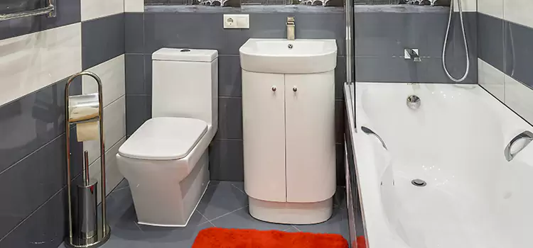 Hansgrohe Shaving Mirror Central Falls
